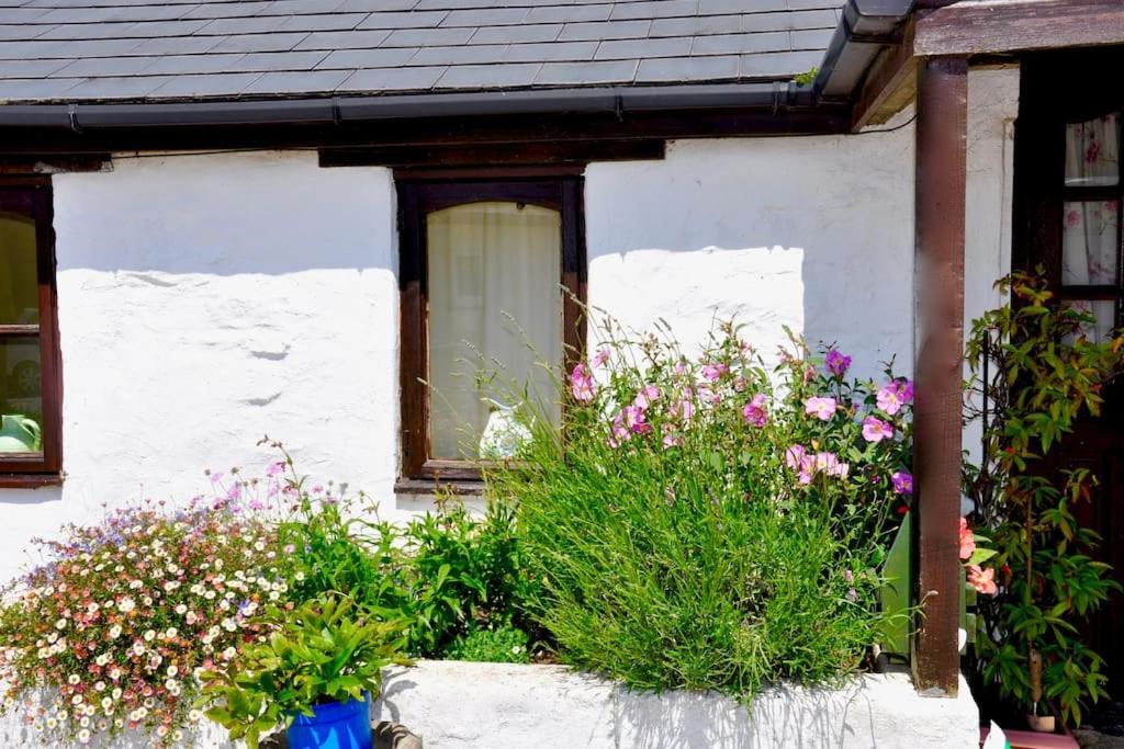 Stunning Annexe 1 Luxury Bedroom, Eating Area & Bathroom Only! Τρούρο Εξωτερικό φωτογραφία